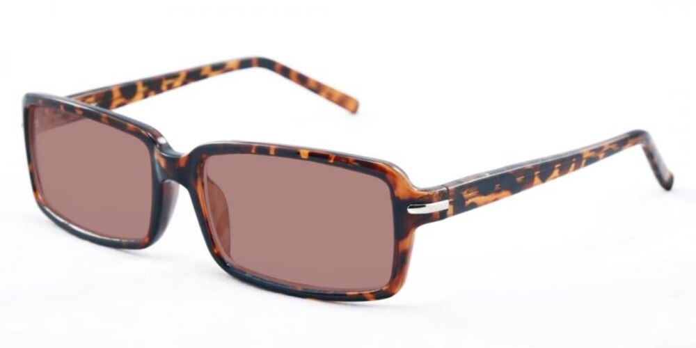 Skyline Tortoise Square Plastic Sunglasses