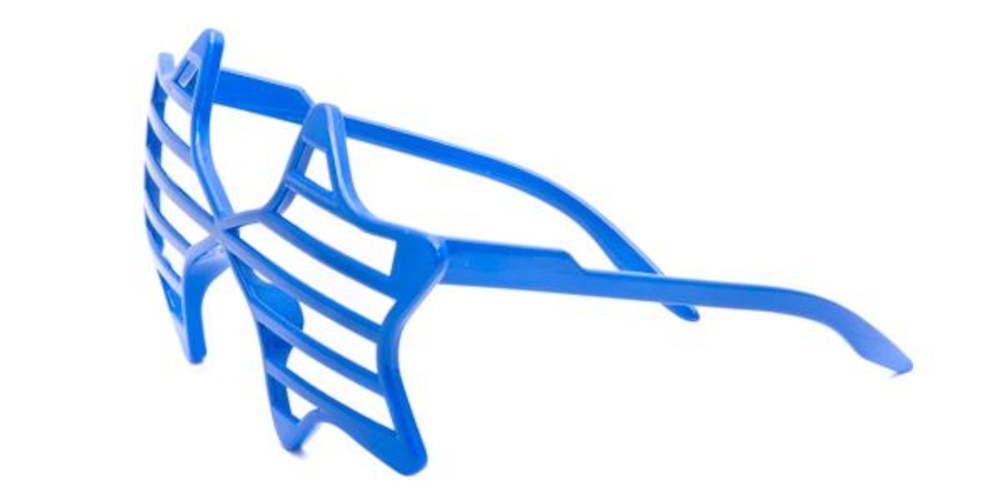 Liverpool Blue Plastic Sunglasses