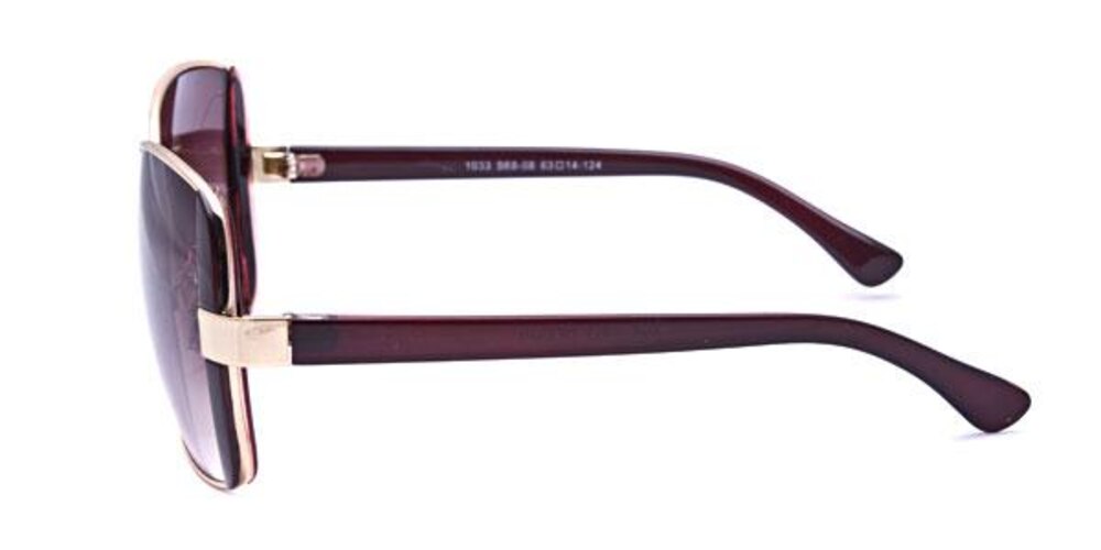 Bristol Golden/Brown Classic Wayframe Metal Sunglasses