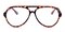 Diep Demi Aviator Plastic Eyeglasses