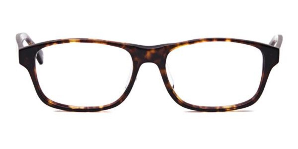Vaughan Tortoise Classic Wayframe Acetate Eyeglasses