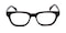 Schneide Tortoise Classic Wayframe Acetate Eyeglasses