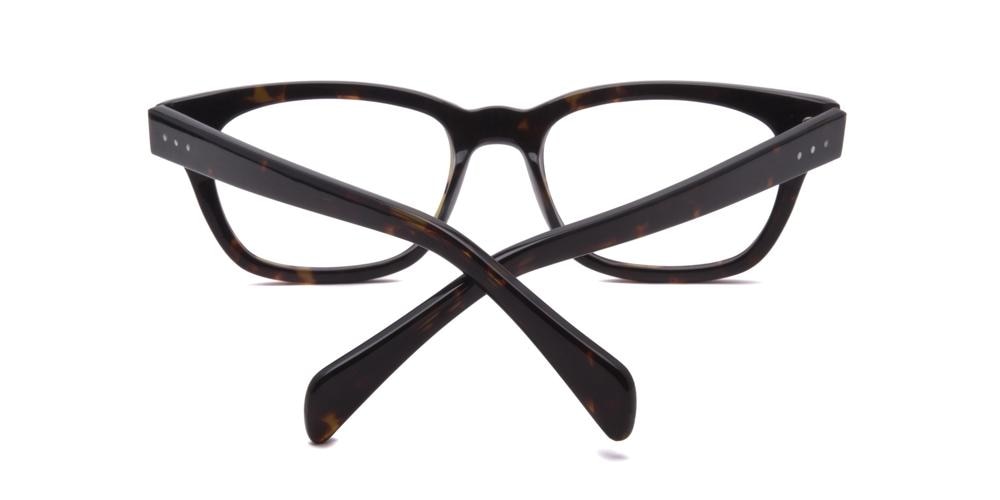 Schneide Tortoise Classic Wayframe Acetate Eyeglasses
