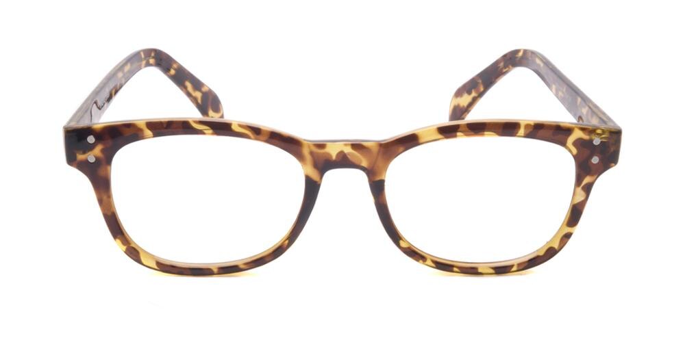 Warren Tortoise Classic Wayframe Plastic Eyeglasses