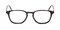 Antioch Tortoise Classic Wayframe Acetate Eyeglasses