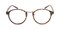 Mentor Tortoise Round Plastic Eyeglasses