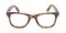 Sudbury Tortoise Classic Wayframe Plastic Eyeglasses