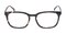 Kalamazoo Tortoise Classic Wayframe Acetate Eyeglasses