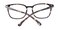 Kalamazoo Tortoise Classic Wayframe Acetate Eyeglasses