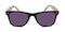 Sudbury Black/Cream Classic Wayframe Plastic Sunglasses