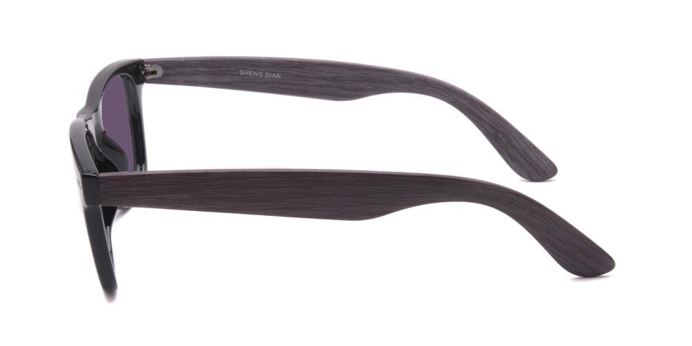Sudbury Black Classic Wayframe Plastic Sunglasses