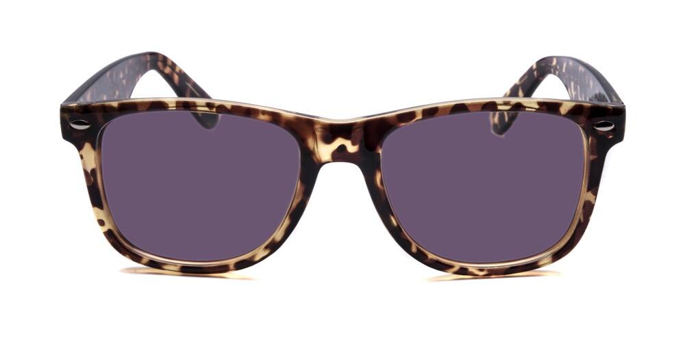Winchester Tortoise Classic Wayframe Plastic Sunglasses