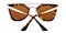 Faithe Tortoise Classic Wayframe Plastic Sunglasses