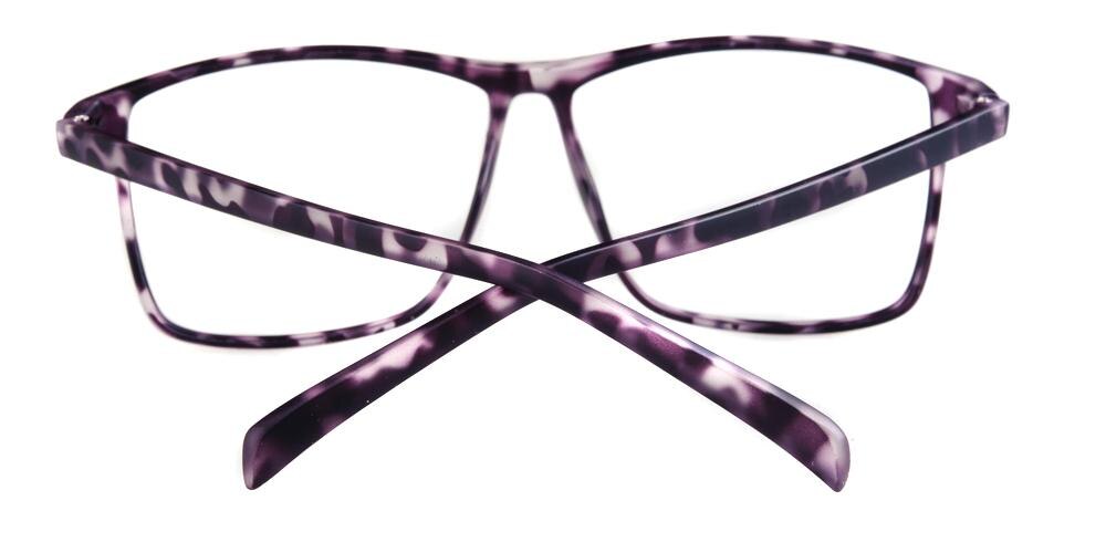 Asheville Tortoise Square Plastic Eyeglasses