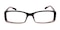 Pendleton Brown Rectangle Plastic Eyeglasses