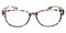 PaineBluff Tortoise Classic Wayframe Plastic Eyeglasses