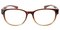 PaineBluff Brown Classic Wayframe Plastic Eyeglasses
