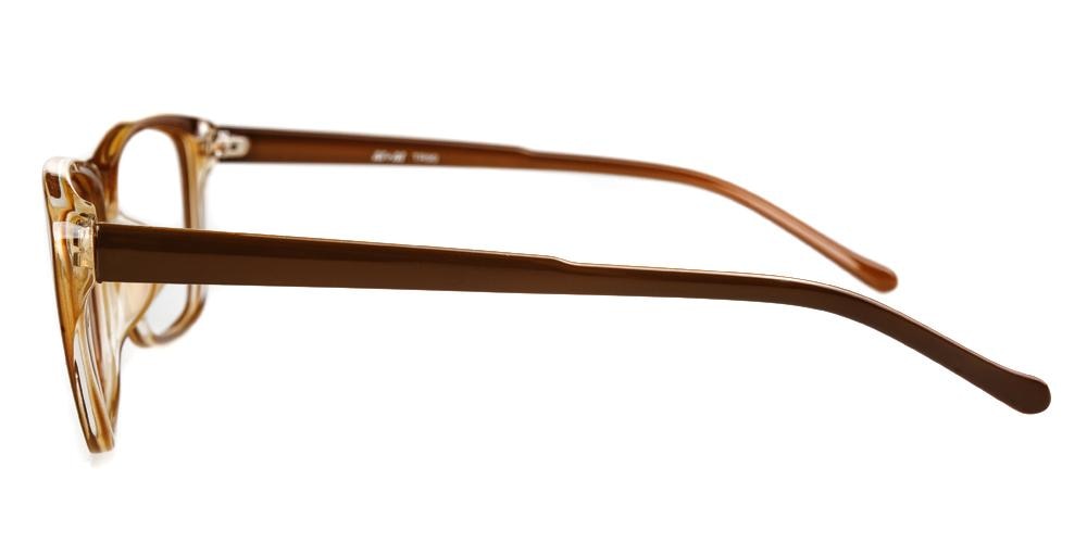 CouncilBluffs Brown Classic Wayframe Plastic Eyeglasses