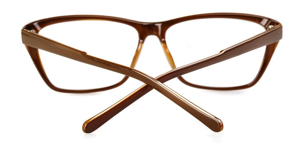 CouncilBluffs Brown Classic Wayframe Plastic Eyeglasses
