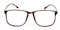 CedarRapids Tortoise Square Plastic Eyeglasses