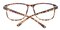 CedarRapids Tortoise Square Plastic Eyeglasses