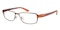 Greensboro Brown Brown Rectangle Titanium Eyeglasses