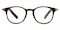 AnnArbor Tortoise Round TR90 Eyeglasses