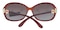 Heloise Brown Classic Wayframe Plastic Sunglasses
