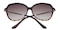 Seine Brown/Tortoise Classic Wayframe Plastic Sunglasses