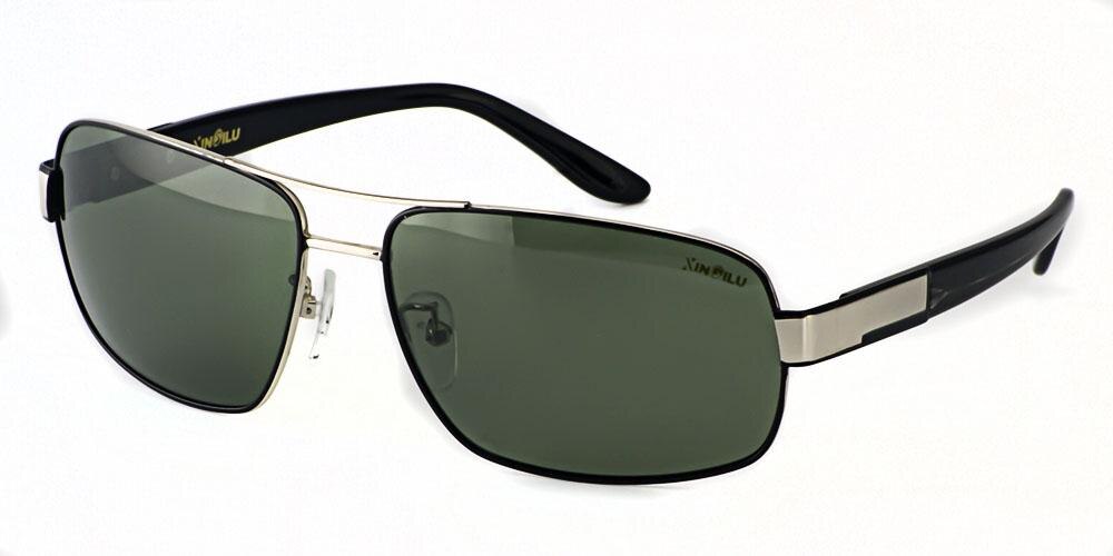 Bois Black/Silver Aviator Metal Sunglasses
