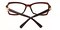 Hilton Brown Rectangle Plastic Eyeglasses