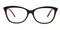 Virgo Brown Classic Wayframe Acetate Eyeglasses