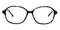 Scottsdale Tortoise Round Acetate Eyeglasses