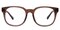 Bain Brown Classic Wayframe Acetate Eyeglasses