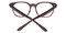Bain Brown Classic Wayframe Acetate Eyeglasses
