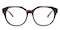 Avon Tortoise Square Acetate Eyeglasses