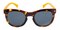 Pasadena Tortoise/Yellow Round Plastic Sunglasses