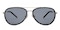 Antioch Black/Golden Aviator Plastic Sunglasses