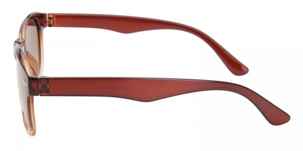 Faye Brown Classic Wayframe Plastic Sunglasses