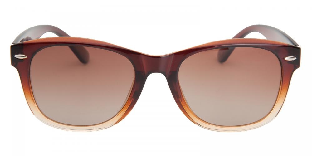 Faye Brown Classic Wayframe Plastic Sunglasses