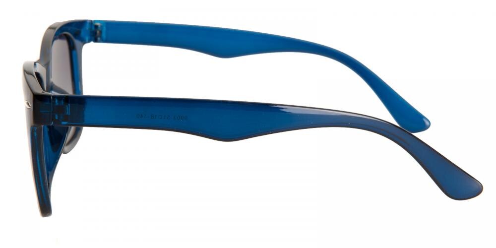 Berkeley Blue Classic Wayframe Plastic Sunglasses