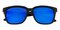 Evansville Black Classic Wayframe Plastic Sunglasses