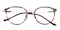 Pittsfield Tortoise Round TR90 Eyeglasses