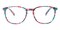 Baltimore Multicolor Classic Wayframe Acetate Eyeglasses