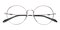Maplesville Silver Round Metal Eyeglasses