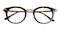 AnnArbor Tortoise Oval Acetate Eyeglasses