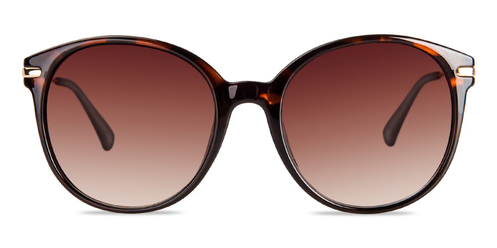 Marian Tortoise Oval Plastic Sunglasses