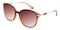 Marian Brown Oval Plastic Sunglasses