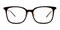 Evan Tortoise Square Acetate Eyeglasses