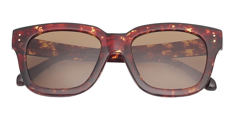 Dubuque Tortoise Classic Wayframe Plastic Sunglasses